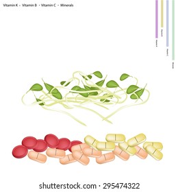 Healthcare Concept, Illustration of Bean Sprouts with Vitamin K, Vitamin B, Vitamin C and Minerals Tablet, Essential Nutrient for Life.

