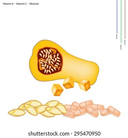 Healthcare Concept, Illustration of Fresh Butternut Pumpkin or Butternut Squash with Vitamin A, Vitamin C and Minerals Tablet, Essential Nutrient for Life.
