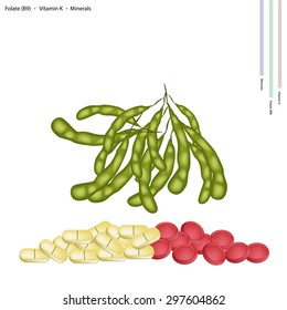 Healthcare Concept, Illustration of Green Soybean or Edamame Pods with Folate B9, Vitamin K, Manganese and Minerals Tablet, Essential Nutrient for Life. 