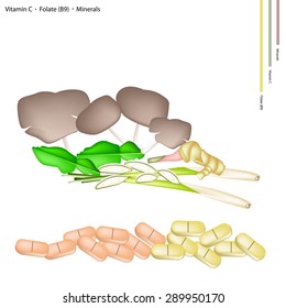 Healthcare Concept, Illustration of Kaffir Lime, Lemon Grass, Blue Ginger and Mushrooms with Vitamin C, Folate (B9) and Minerals Tablet, Essential Nutrient for Life.
