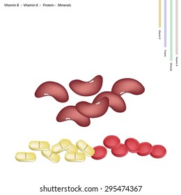 Healthcare Concept, Illustration of Kidney Bean with Vitamin B, Vitamin K Protein and Minerals Tablet, Essential Nutrient for Lift.
