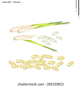 Healthcare Concept, Illustration of Lemon Grass with Folate or B9 and Minerals Tablet, Essential Nutrient for Life. 