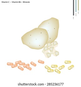 Healthcare Concept, Illustration of Potatoes with Vitamin C, Vitamin B6 and Minerals Tablet, Essential Nutrient for Life. 