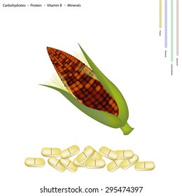 Healthcare Concept, Illustration of Purple Corns Seed with Carbohydrates, Protein, Vitamin B and Minerals Tablet, Essential Nutrient for Life.
