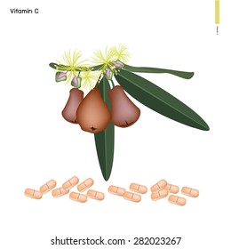 Healthcare Concept, Illustration of Rose Apple with Vitamin C Tablet, Essential Nutrient for Lift.
