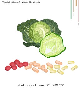 Healthcare Concept, Illustration of Savoy Cabbage with Vitamin K, Vitamin C, Vitamin B9 and Minerals Tablet, Essential Nutrient for Life. 