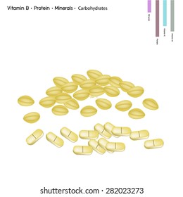 Healthcare Concept, Illustration of Split Pea with Vitamin B, Protein, Minerals and Carbohydrates Tablet, Essential Nutrient for Lift.
