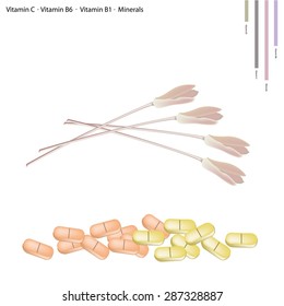 Healthcare Concept, Illustration of Stem of Lotus Flower or Water Lily with Vitamin C, Vitamin B6, Vitamin B1 and Minerals Tablet, Essential Nutrient for Life. 