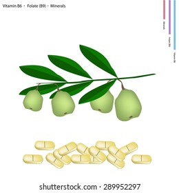 Healthcare Concept, Illustration of Walnuts with Vitamin B6, Folate or B9 and Minerals Tablet, Essential Nutrient for Life.
