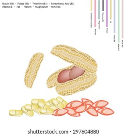 Healthcare Concept, Peanut Pods with Niacin B3, Folate B9, Thiamine B1, Pantothenic Acid B5, Vitamin E, Magnesium, Fat, Protein and Minerals Tablet, Essential Nutrient for Life. 