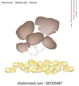 Healthcare Concept, Pleurotus Mushrooms or Oyster Mushrooms with Thiamine B1, Riboflavin B2 and Minerals Tablet, Essential Nutrient for Life. 