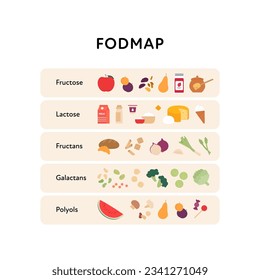 Healthcare dieting infographic collection. Vector flat food illustration. Low Fodmap diet. Types of fructose, lactose, fructan, galactan, polyol product. Poster design for healthy eating guide