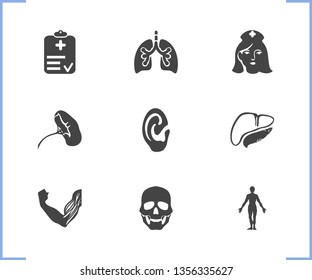 Healthcare icon set and human body with muscles, scull and spleen. Mucous related healthcare icon vector for web UI logo design.