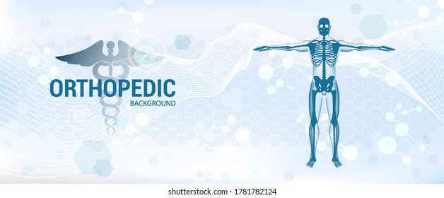 Healthcare orthopedic anatomy banner with 3D skeleton. Medical orthopedic banner for treatment of bones and joints - spine, arms, ankle, pelvis, knee, hip and other. Medical Orthopedic Vector Banner