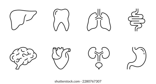 Healthcare Outline Icon, Internal Organ Anatomy. Human Brain, Intestine, Urinary System, Tooth, Stomach, Lung, Liver, Heart Line Icon Set. Editable Stroke. Isolated Vector Illustration.