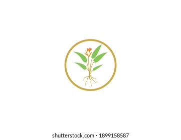 diseño de logotipos saludables con plantilla de iconos de diseño moderno creativo
