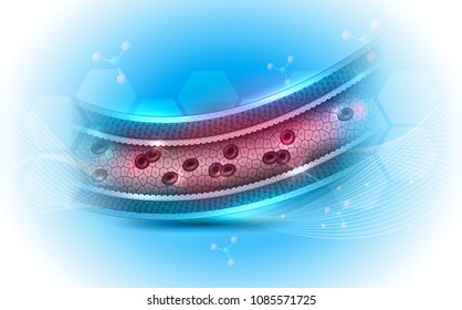 Healthy Artery Anatomy Cross Section An A Beautiful Light Blue Abstract Background