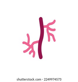 vector de icono de arteria sana aislado en el fondo