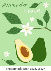 healthy avocado, vector illustration, pattern