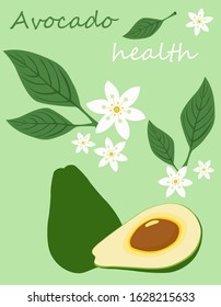 healthy avocado, vector illustration, pattern