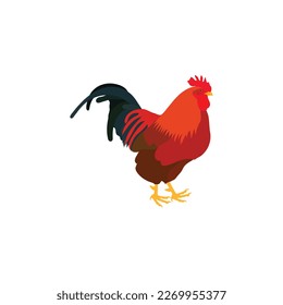 A healthy beautiful chicken-Vector Art work.