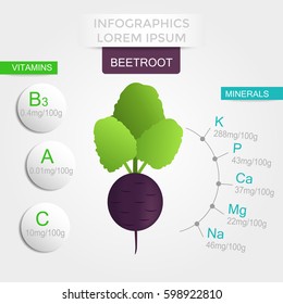 Healthy beetroot infographics isolated on white background, vegetables, vitamins and minerals. Quality vector illustration about diet, eco food, benefits of vegan and nutrition concept. 