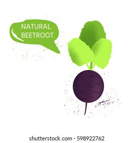Healthy beetroot isolated on white background, vegetables, vitamins and minerals. Quality vector illustration about diet, eco food, benefits of vegan and nutrition concept. 