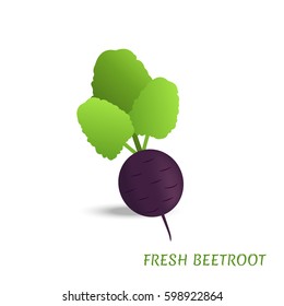 Healthy beetroot isolated on white background, vegetables, vitamins and minerals. Quality vector illustration about diet, eco food, benefits of vegan and nutrition concept. 