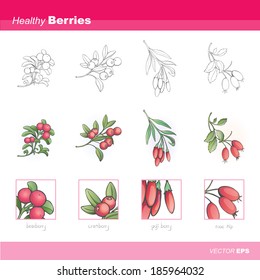 Healthy berries