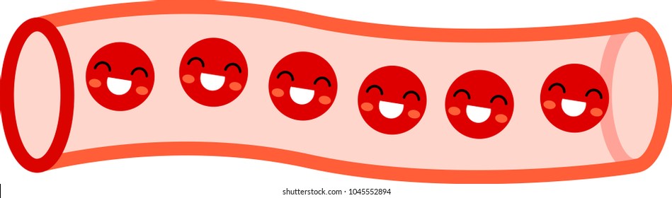 Healthy Blood Vessel Face 1