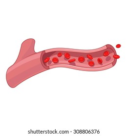 12,522 Blood flow Stock Vectors, Images & Vector Art | Shutterstock