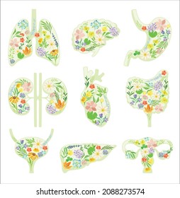 Healthy blooming human internal organs set. Anatomical lungs, bladder, heart, kidneys, liver, bladder, stomach with flowers and leaves vector illustration