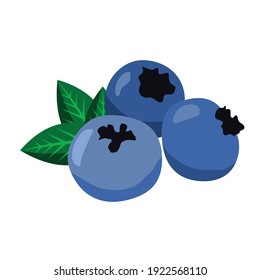 healthy blubbery fruitw with leaves vector graphic design