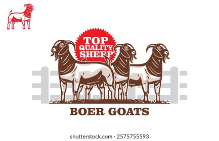 healthy boer goat at ranch poster, silhouette of great ram standing vector illustrations