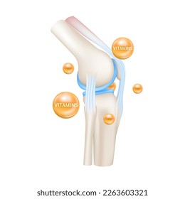 Cartílago óseo saludable con vitamina D3 naranja. Modelo de anatomía de esqueletos humanos aislado en fondo blanco. Las vitaminas y los minerales cuidan la articulación de la rodilla ósea. Vector 3D realista. Concepto de ciencia médica. 