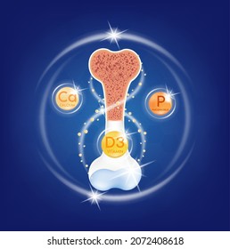 Healthy bone human bone anatomy. Skeleton x ray scan concept. Vitamin D3 and Minerals Calcium, Phosphorus therapy. Medical or healthcare concept. 3D Vector EPS10 illustration.