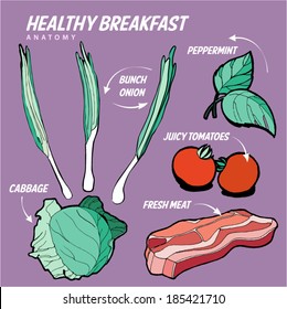 Healthy breakfast anatomy. Colored vector vegetables.