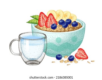 Healthy breakfast with banana, strawberry and blueberry. Oatmeal porridge with milk, yogurt. Granola bowl. Muesli flakes, oat grain. Vector sketch.