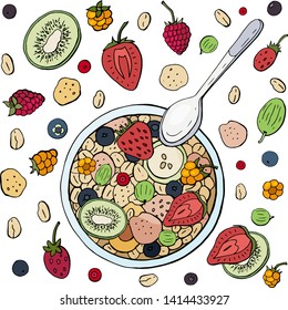 Healthy breakfast made from muesli with fruits and berries on a white plate. Oatmeal with fruit, hand drawn vector set.