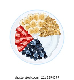 Healthy breakfast, yogurt with blueberries, strawberries, bananas and oat wheat. Low calorie food. Hight nutrition low fat menu. Authentic breakfast menu vector drawing illustration on white.