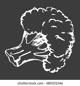 Healthy broccoli isolated white outline sketch on black background. Organic healthy vegetable plant of cabbage family vector illustration.