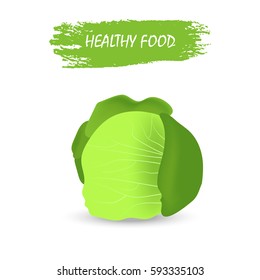 Healthy cabbage  isolated on white background, vegetables, vitamins and minerals. Quality vector illustration about diet, eco food, benefits of vegan and nutrition concept. 