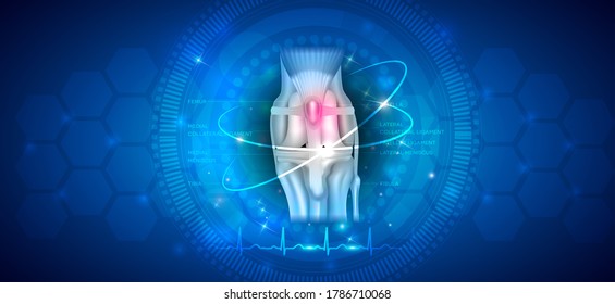Healthy canine (dog's) knee joint health care concept design on an abstract blue scientific background.