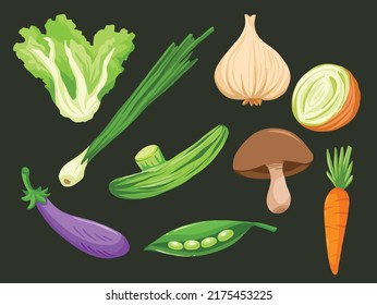 Healthy cartoon drawings set collection of vegies. Vegetables vector illustration with flat style drawing of lettuce, green onion, garlic, eggplant, cucumber, peas, carrot, and shitake mushroom