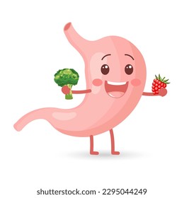 Healthy cheerful human stomach character with vegetables and fruits. Healthy diet. Anatomy of the digestive system. Vector in flat style