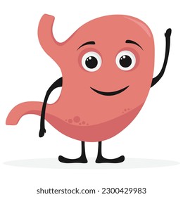 Healthy cheerful human stomach character laughs with happiness. Healthy diet. Anatomy of the digestive system. Vector in flat style