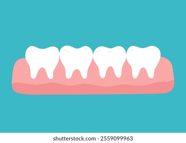 Healthy clean teeth in the gums. Vector hand-drawn illustration in flat style. Dental care, oral hygiene concept.