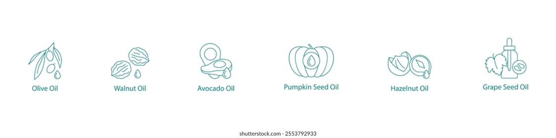 Healthy Cooking Oils Vector Icon Set: Olive, Walnut, Avocado, Pumpkin Seed, Hazelnut, Grape Seed