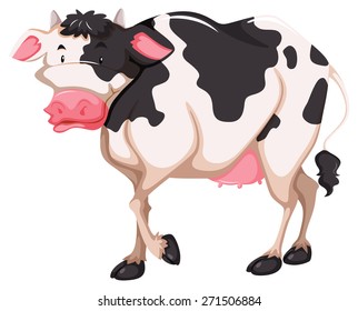 Healthy cow in standing posture