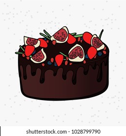 Healthy dessert, big chocolate cake with fruit, vector